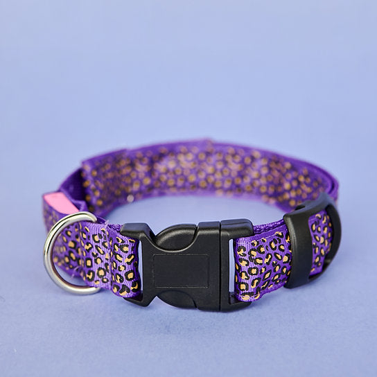 LED Hondenhalsband | Paars