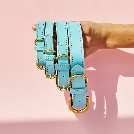 Hundehalsband aus Leder | Cyanblau