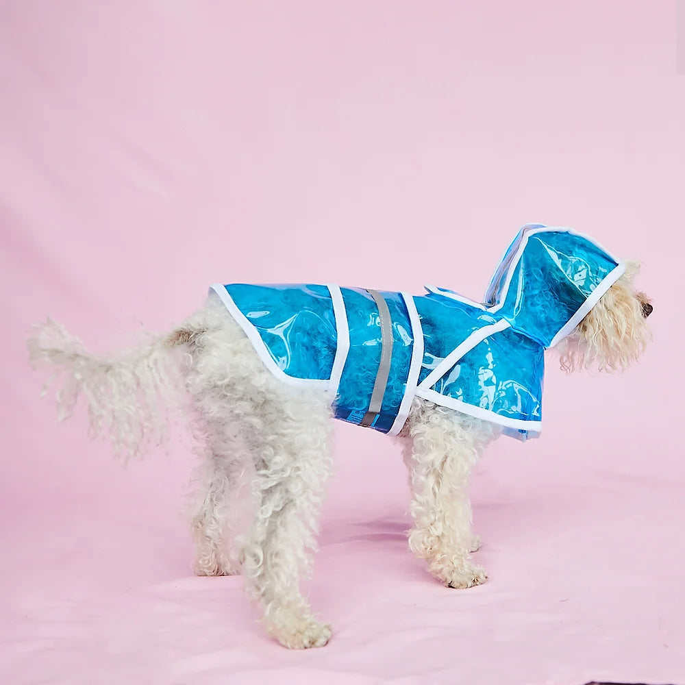 Clear Small Dog Raincoat | Blue