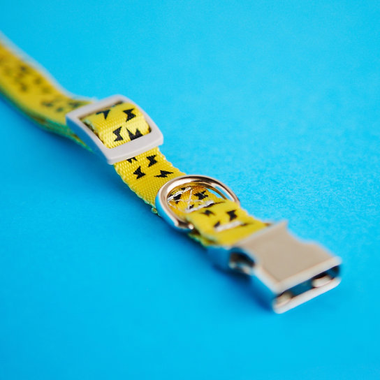 Funky Nylon Dog Collar | Yellow & Black