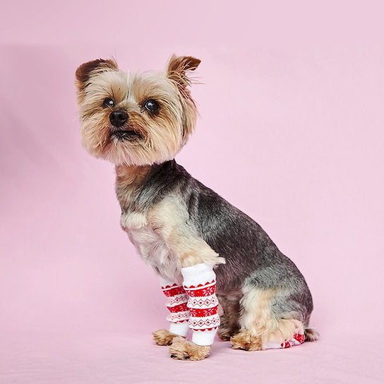 Dog Leg Warmer | Christmas Mood