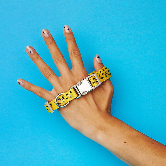 Funky Nylon Dog Collar | Yellow & Black