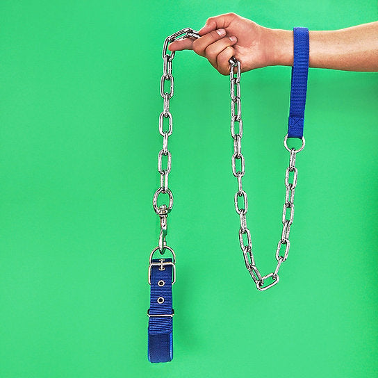 Kettingriem met halsband | Blauw