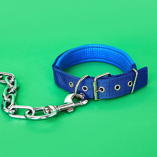 Kettingriem met halsband | Blauw