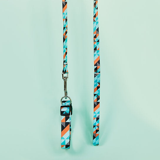 Set met hondenriem en halsband met patroon | Lichtgroen