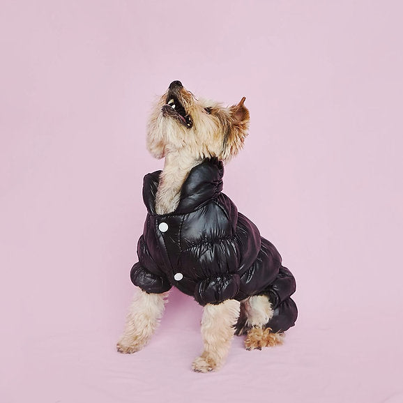 Warm Puffer Dog Jumpsuit | Black