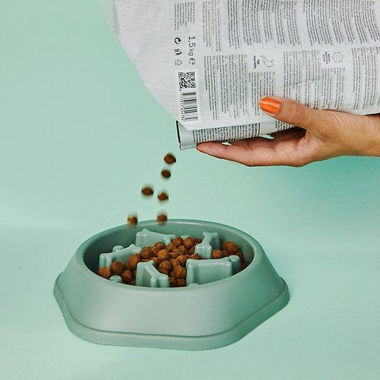 Eat-Slow Dog Bowl | Green