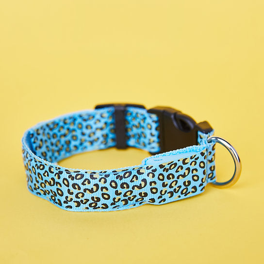LED Hondenhalsband | Blauw