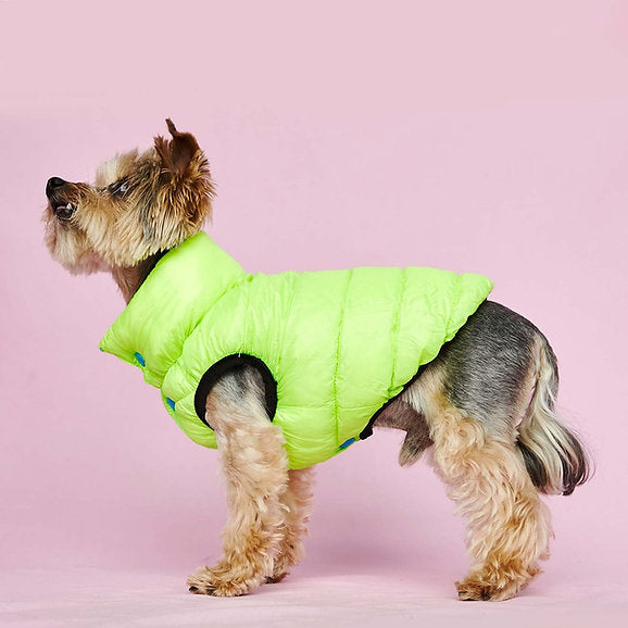 Puffer Dog Vest | Neon Green & Blue