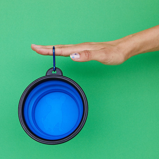 Pop-Out Dog Food Bowl | Blue