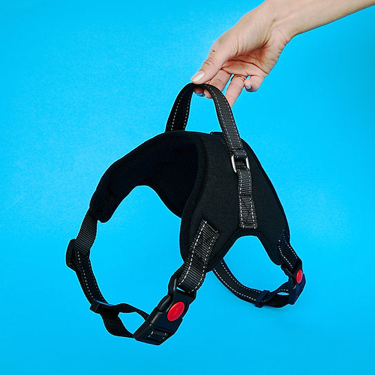 Adjustable Dog Harness | Black