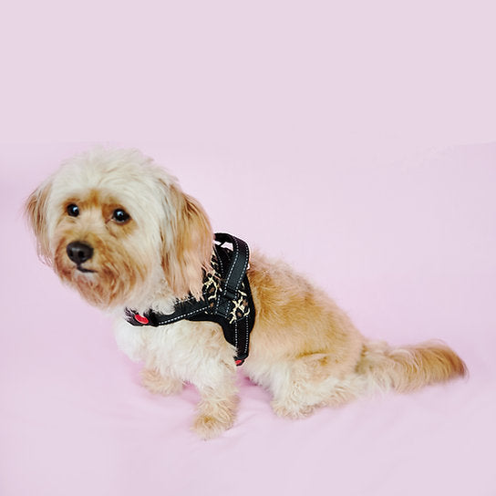 Adjustable Dog Harness | Leopard Print