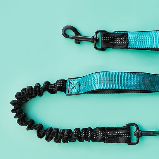Dog Jogging Gear | Turquoise