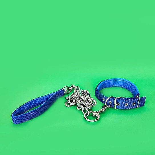 Kettingriem met halsband | Blauw