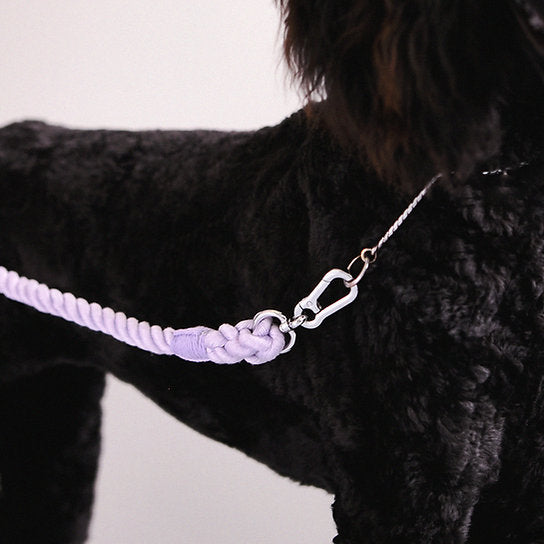 Twisted Rope Dog Leash | Purple