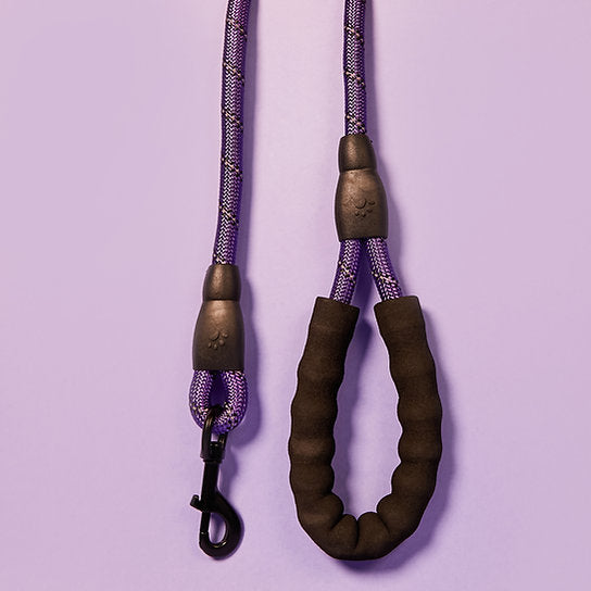 Reflective Nylon Dog Leash | Purple