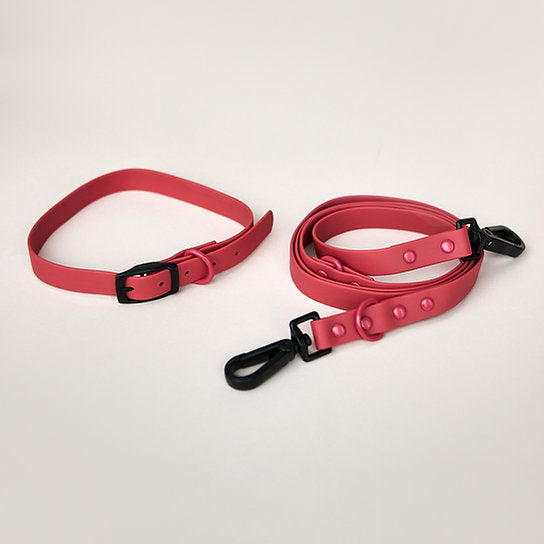 Waterdichte riem met halsband | Rood | Medium