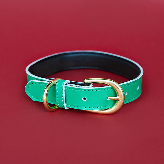 Leren Hondenhalsband | Groen