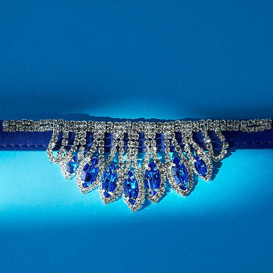 Luxe leren hondenhalsband | Blauw