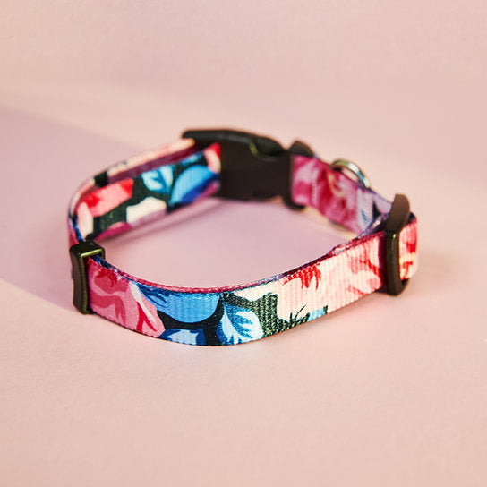 Set met hondenriem en halsband met patroon | Roze bloemen
