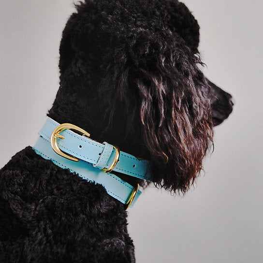 Hundehalsband aus Leder | Cyanblau