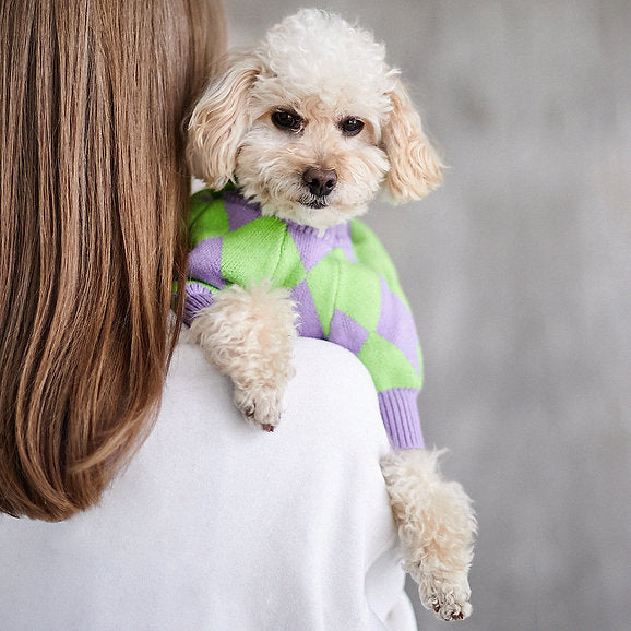 Warmer Hundepullover | Lila & Grün