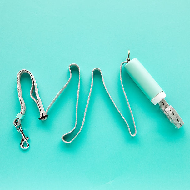 Innovatieve hondenriem | Mintgroen