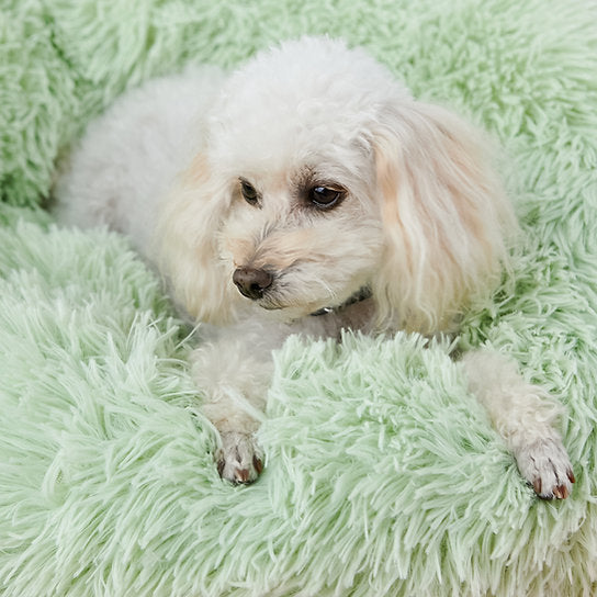 Plush Donut Dog Bed | Green | 60 cm