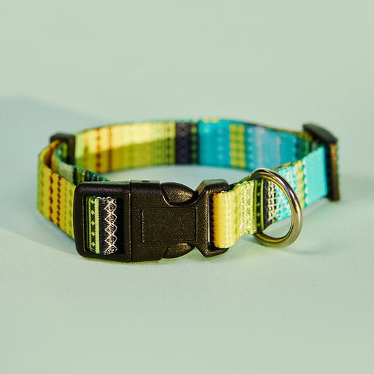 Set met hondenriem en halsband met patroon | Geel