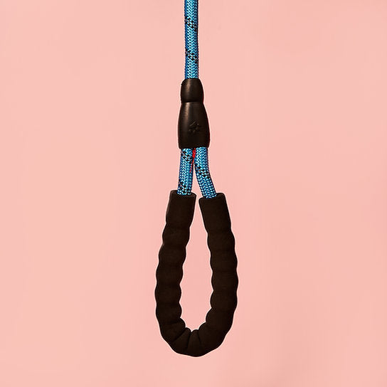 Reflective Nylon Dog Leash | Blue