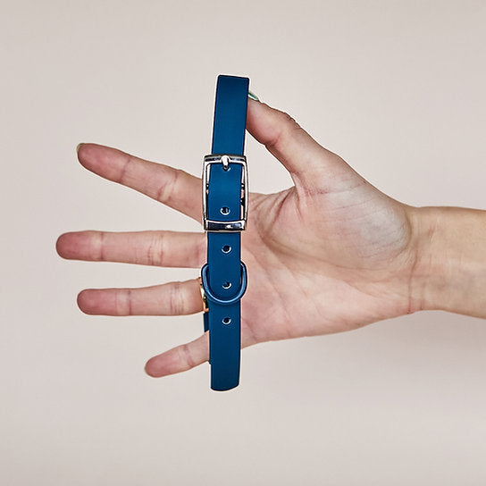 Waterdichte riem met halsband | Blauw | S