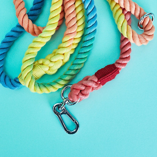 Twisted Rope Dog Leash | Rainbow