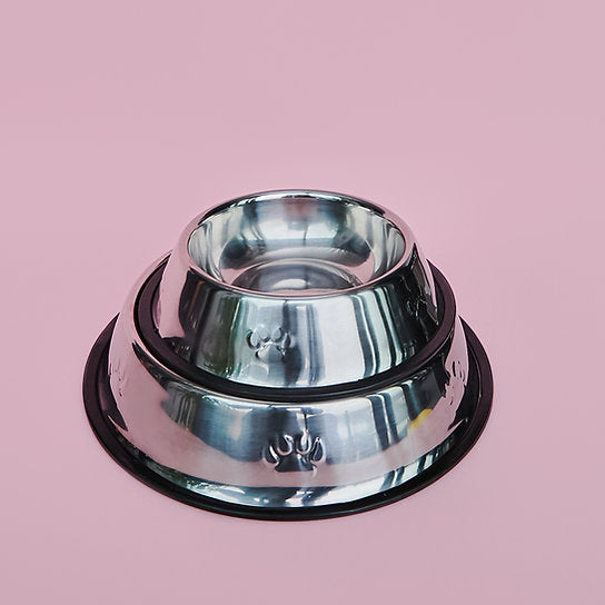 Painted Non-Slippery Bowl | Silver Shine