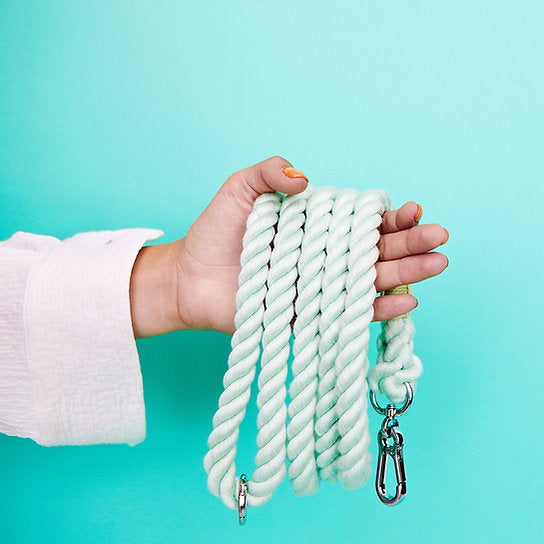 Twisted Rope Dog Leash | Mint Green