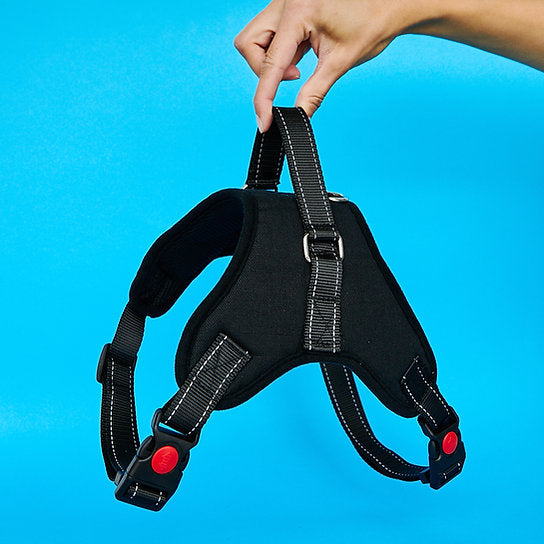 Adjustable Dog Harness | Black