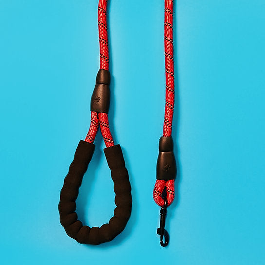 Reflective Nylon Dog Leash | Red