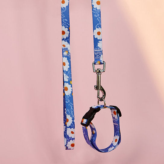 Set met hondenriem en halsband met patroon | Bloemen