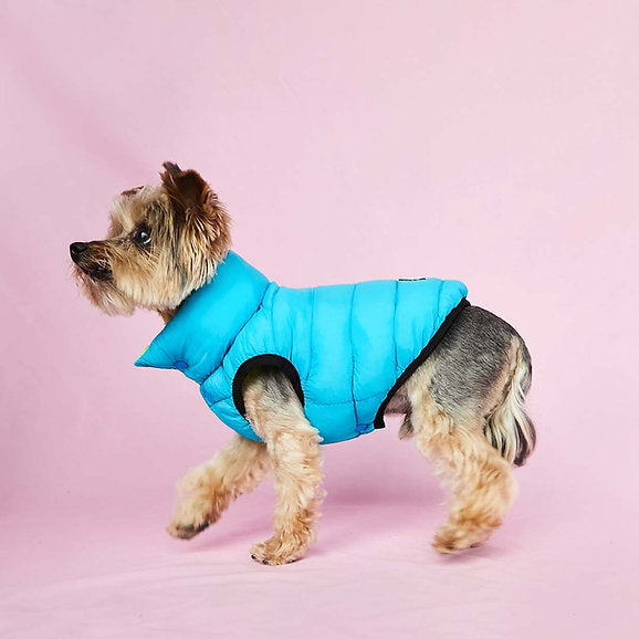 Puffer Dog Vest | Neon Green & Blue