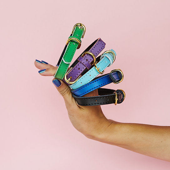 Leren Hondenhalsband | Zwart