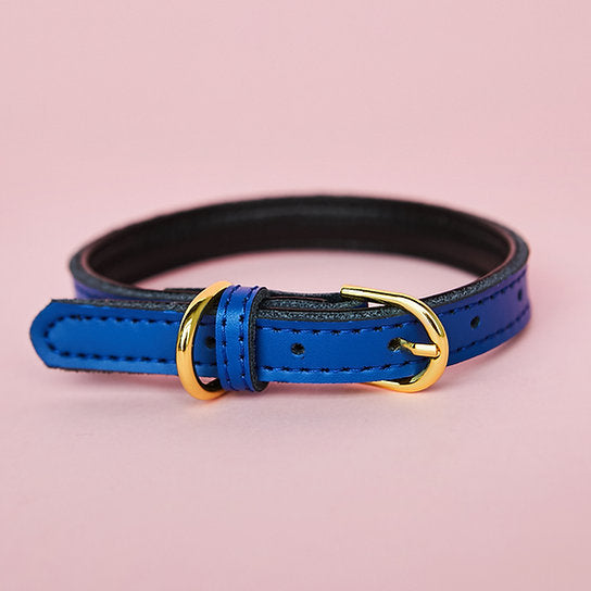 Leren Hondenhalsband | Donkerblauw
