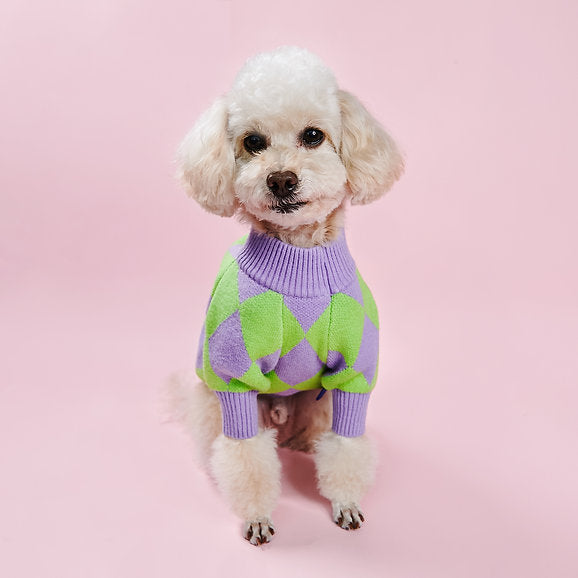 Warmer Hundepullover | Lila & Grün