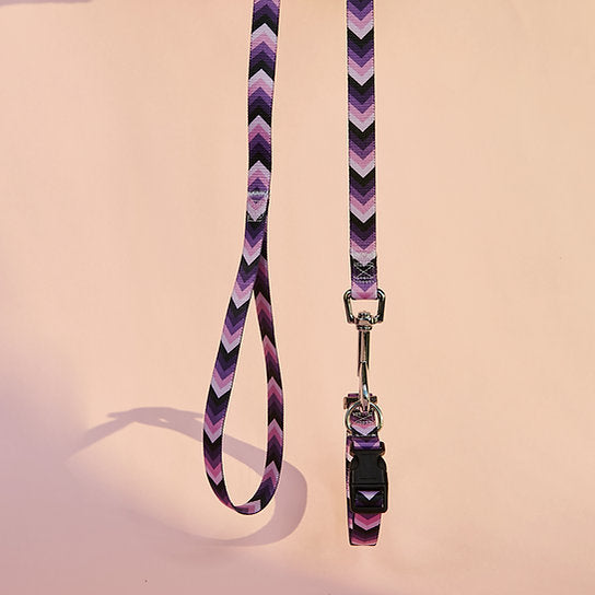 Set met hondenriem en halsband met patroon | Paars