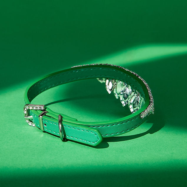 Luxurious Leather Dog Collar | Green