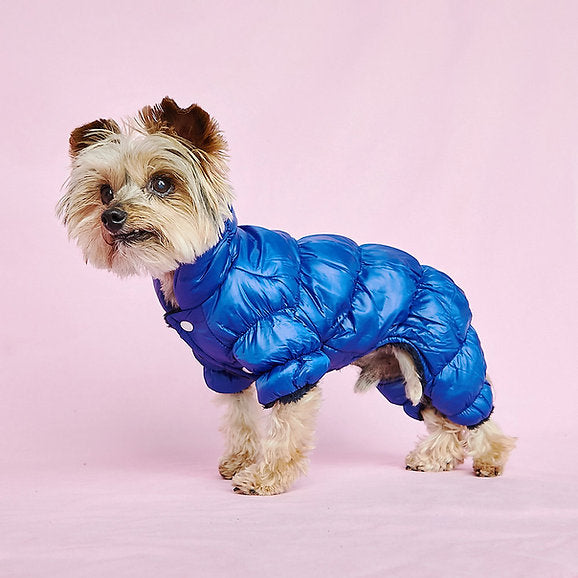 Warm Puffer Dog Jumpsuit | Blue