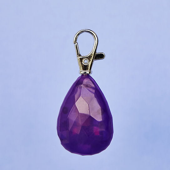 LED Hondenhalsband Hanger | Paars
