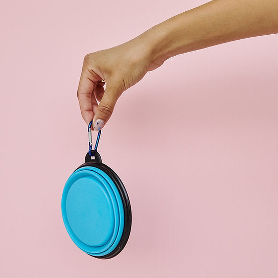 Pop-Out Dog Food Bowl | Light Blue