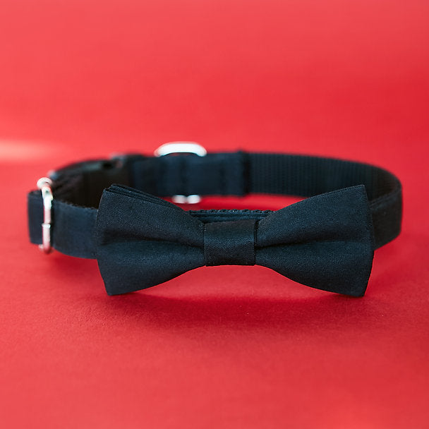 Stylish Bow Tie Collar | Black