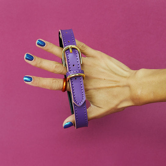 Leren Hondenhalsband | Paars
