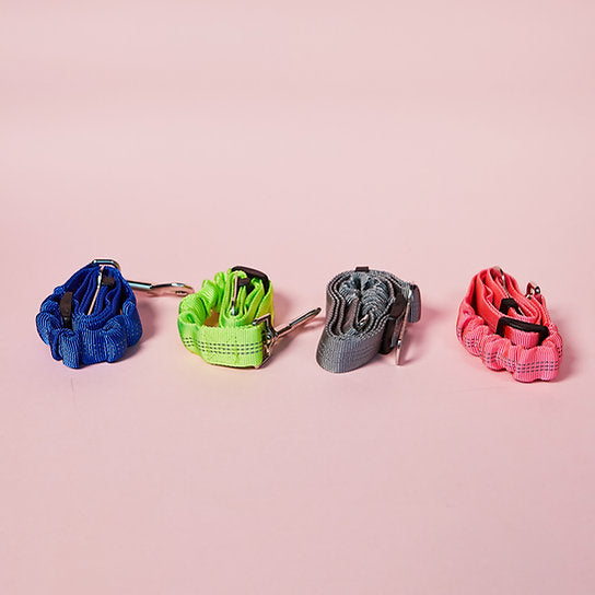 Hondengordelriem | Blauw