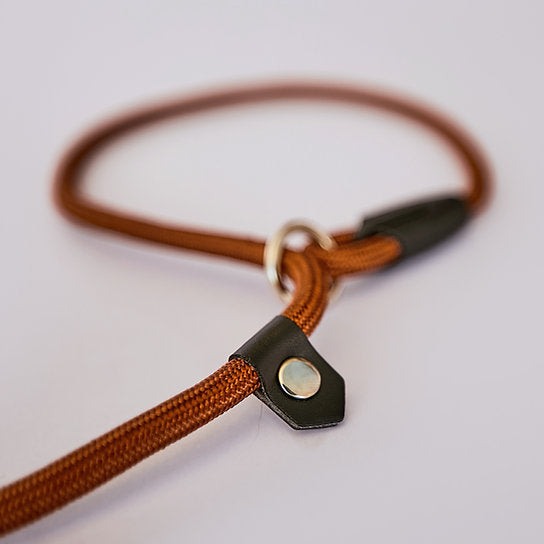 Slip Dog Nylon Leash | Brown